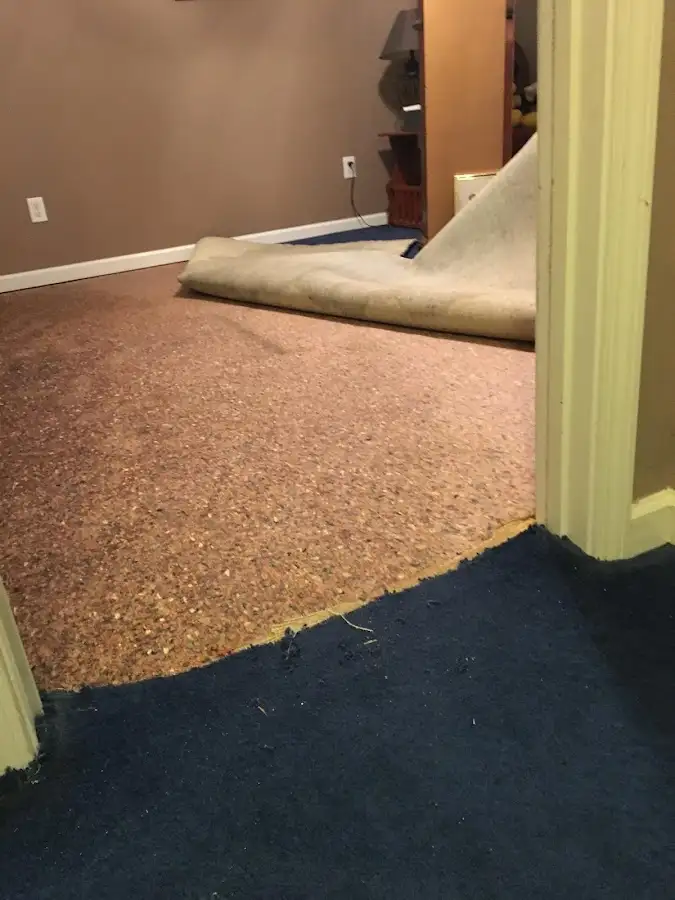 Carpet pad removal revealing water damage during Drying & Dehumidification in Anderson