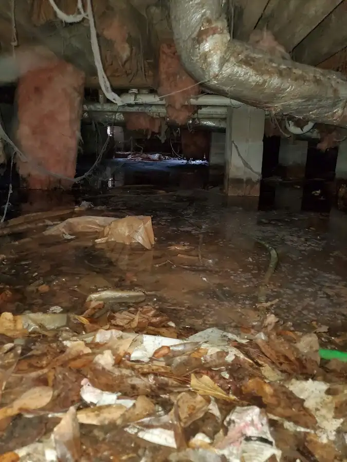 Crawl space flood assessment for Commercial Water Damage Restoration in Anderson