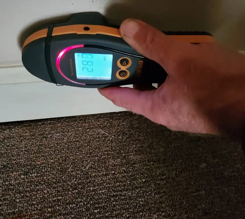 Moisture detection at baseboard during Burst Pipe Cleanup in Anderson